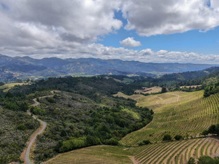 Fototapeta na wymiar Aerial view of Napa Valley with vineyard and little lake. Napa County, in California's Wine Country. Vineyards landscape.