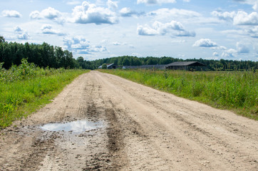 Fototapeta na wymiar A dirt road and farm buildings in the Estonian countryside in summer
