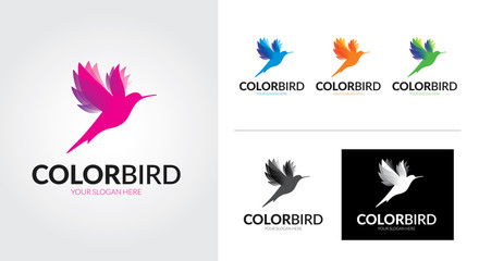 Color bird creative and minimalist logo template Set