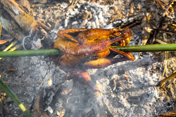 Roasted chicken on fire in camping forest outdoor