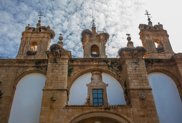 Obraz premium Historical building plenty of white storks. These birds are protected by SPA UE Directive, Zepa, Caceres, Spain