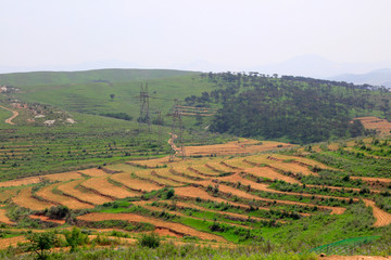 Fototapeta premium terraces on hillside