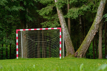 Football goal in the forest of red