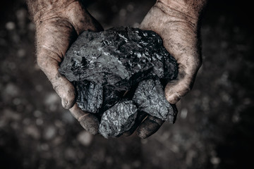 Miner holds coal palm. Concept mining. Top view.