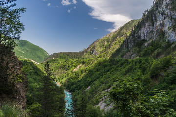Fototapeta na wymiar Montenegro, Sinjajevina, Tara Valley at morning time
