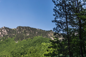 Montenegro, Sinjajevina, Tara Valley at morning time