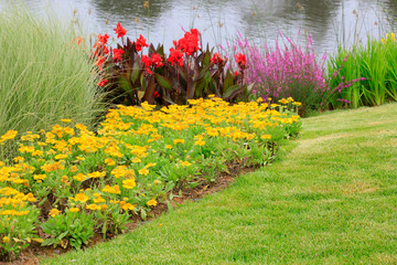 Flowers by the river