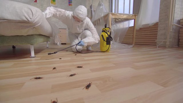 pest control worker with sprayer standing at home and under the couch