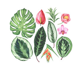 Set of watercolor tropical flowers and leaves.