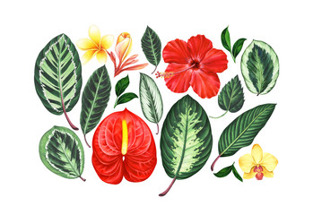 Set of watercolor tropical flowers and leaves.