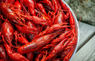 Cooked Crayfish, close up