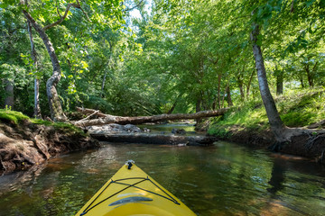 Fototapeta premium Kayaking on the Catawba River, Landsford Canal State Park, South Carolina