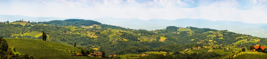 Naklejka na ściany i meble Panorama of Vineyards in south styria in Austria. Landscape of Leibnitz area from Kogelberg.