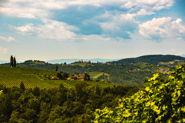 Vineyards in south styria in Austria. Landscape of Leibnitz area from Kogelberg.