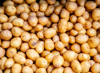 Potatoes at the market display