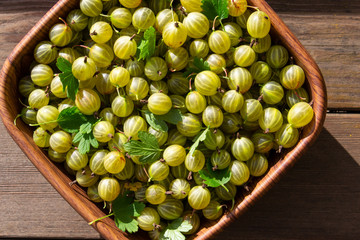 Green and yellow gooseberries