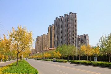 High-rise buildings and road greening