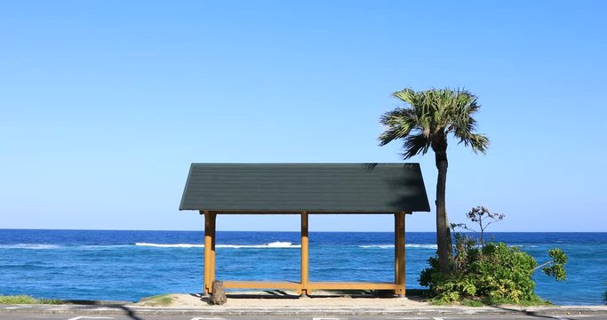Palm tree and pavilion at Ohama beach in Amami oshima Kagoshima copyspave