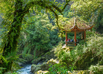 The scenery of Qingyin Pavilion in Emeishan, Sichuan Province, China