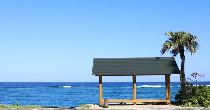 Palm tree and pavilion at Ohama beach in Amami oshima Kagoshima copyspave