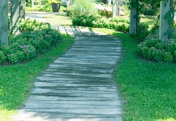 path way in garden in the flowers garden.