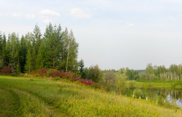 The road overgrown with grass goes along the field and the water of the lake in autumn in the colorful sparse Northern vegetation.