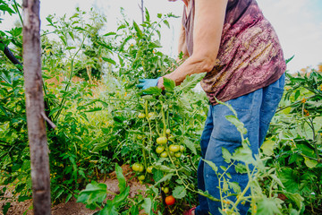 women working in agriculture