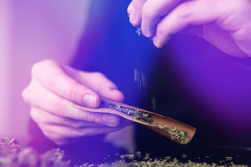 Close up marijuana joint with lighter. Man rolling marijuana cannabis blunt. Man rolling a...