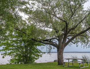 Lake view, stones, and trees at Claredon Beach Park Keswick Ontario Canada