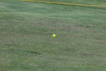 Golf ball on Golf Course Fairway