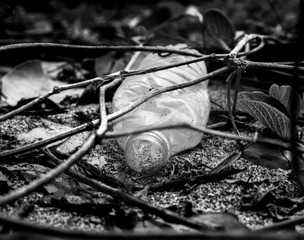 botella naturaleza basura