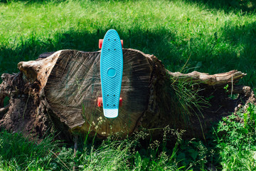 Blue penny board with pink wheels on stump.