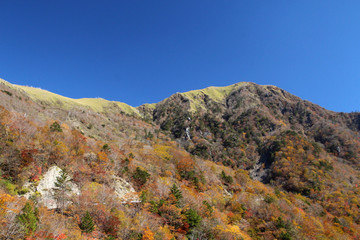 剣山系、次郎岌の秋