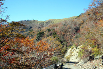 剣山系、次郎岌の秋