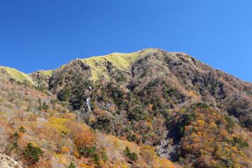剣山系、次郎岌の秋