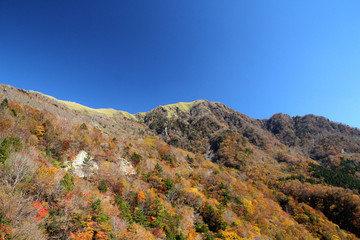 剣山系、次郎岌の秋