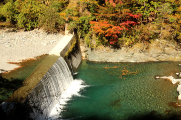 剣山スーパー林道の紅葉
