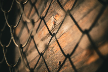 Fence and shadows on wood