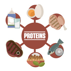 meat, chicken, tuna, eggs, milk and soy proteins food sources