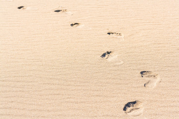 Footprints on the sand on the beach