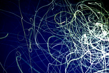 moths in the light of a lantern on a night sky background