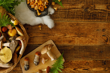 Mushrooms on old wooden background. Card on autumn or summertime. Forest harvest. Boletus, chanterelles, leaves, berries. Flat lay.