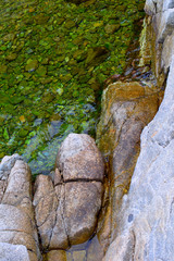 stones and water, fragment of the mountain landscape macro