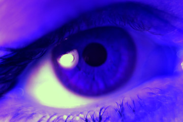 eye with a highlight macro in blue tones, sight
