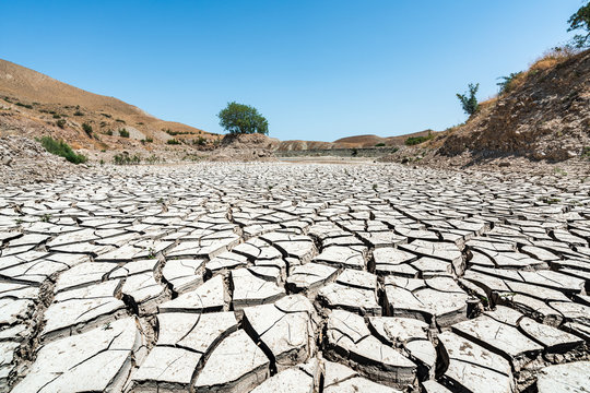 Dried Up Images Browse 13 138 Stock Photos Vectors and Video Dried Up Images Browse 13 138 Stock Photos Vectors and Video