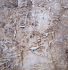 Old white texture abstract background