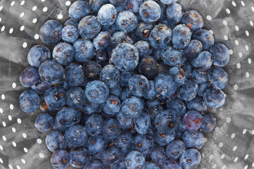 A lot of washed blueberry berries with water drops are in a metal colander