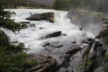 Naklejka na ściany i meble Roar Of The Athabasca Falls, Jasper National Park, Alberta