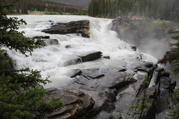 Roar Of The Athabasca Falls, Jasper National Park, Alberta