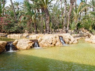 Naklejka na ściany i meble Palm park El Palmeral in Alicante, Costa Blanca. Spain.